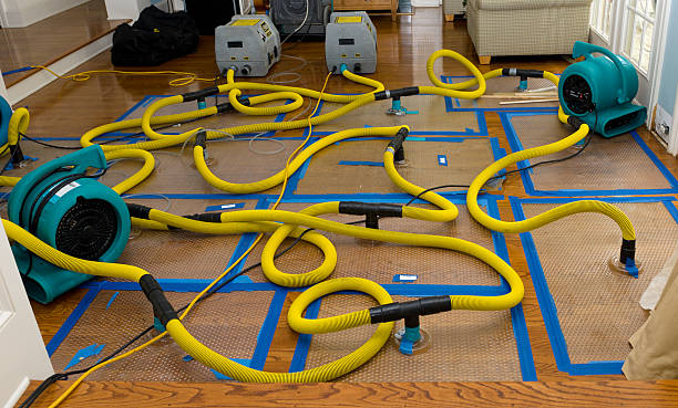 Professional Structural Drying And Dehumidification technician working in Richmond, CA